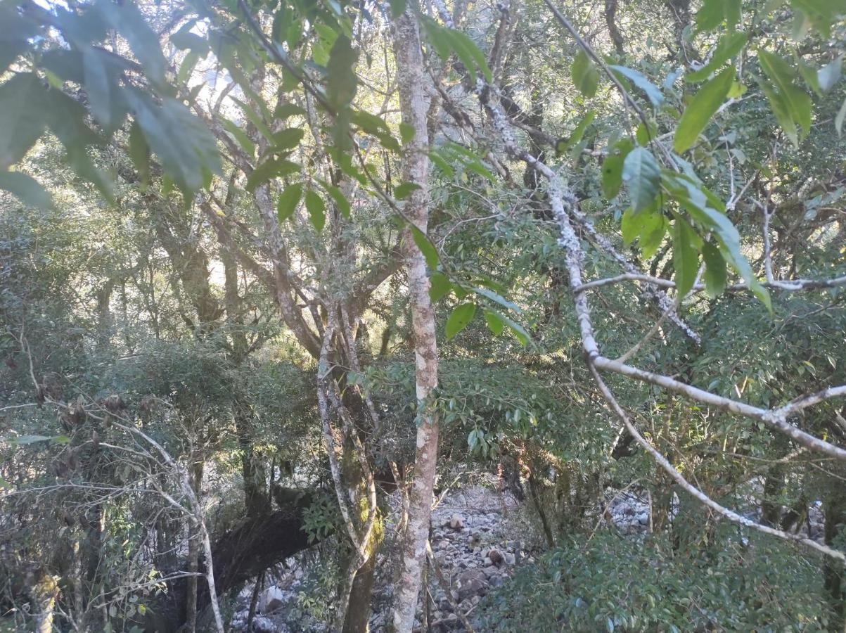 Cabana Pé das Serra dos Bitu 3 Urubici Exterior foto